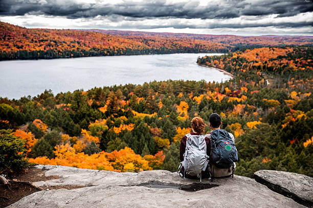 Algonquin Park (1 Day)